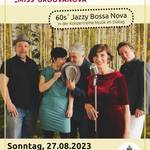 Plakat Groovanova Seite003